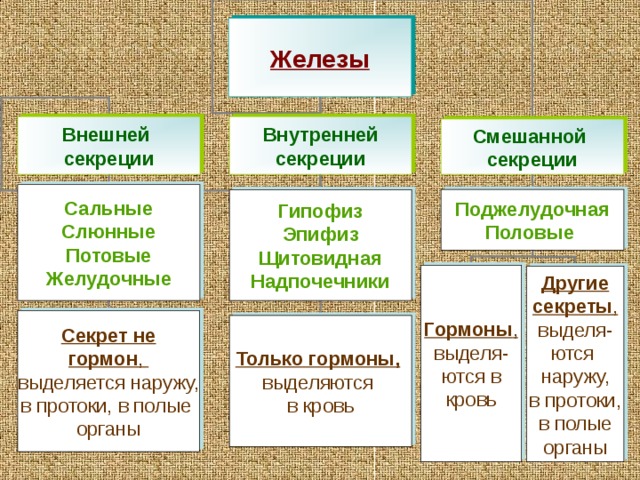 Функции гормонов. Эндокринная система регулирует : - обменные процессы  организма, - рост и развитие (умственное, физическое, половое) организма, - обеспечивает постоянство внутренней среды ( гомеостаз ) и нормальное течение всех биохимических процессов  