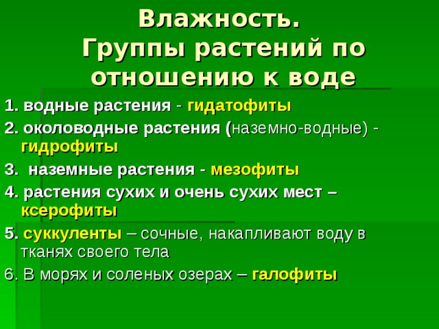 Сообщение группы растений по отношению к воде