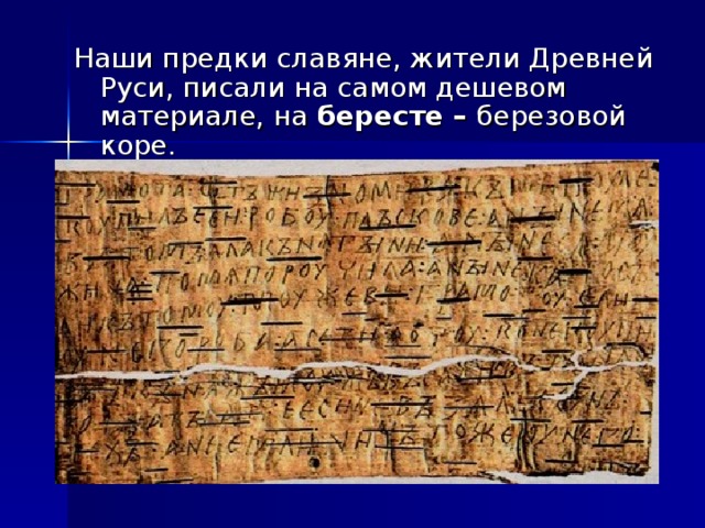 Наши предки славяне, жители Древней Руси, писали на самом дешевом материале, на бересте – березовой коре. 