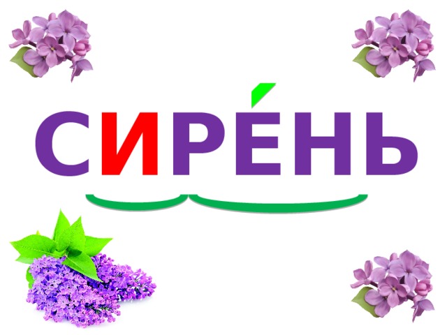 С И РЕНЬ 