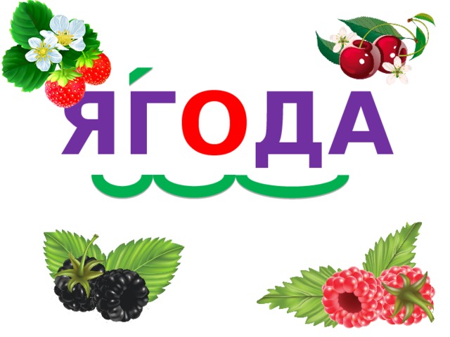 ЯГ О ДА 
