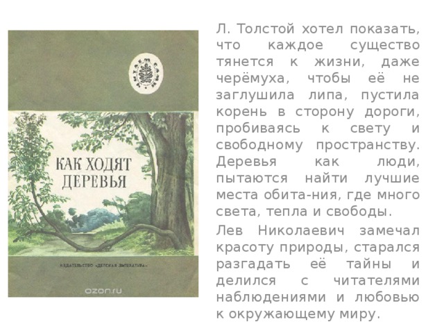 Краткое содержание рассказа льва николаевича толстого. Лев толстой черемуха. Книга как ходят деревья. Рассказ Толстого черемуха. Лев толстой как ходят деревья.