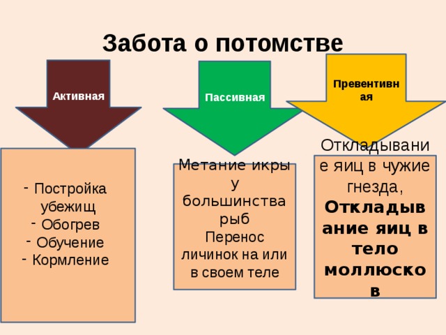 Забота о потомстве схема