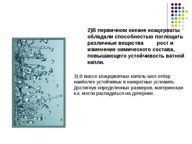 Коацерваты обладали свойствами живого потому что. Коацерватные капли обладали способностью. Коацерваты обладали. Способности коацерватных капель. Какими свойствами обладали коацерваты.