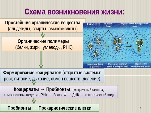 Возникновение вещества