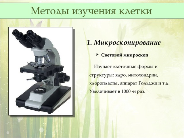Методы изучения клетки 1. Микроскопирование  Световой микроскоп  Изучает клеточные формы и структуры: ядро, митохондрии, хлоропласты, аппарат Гольджи и т.д. Увеличивает в 1000 -и раз. 