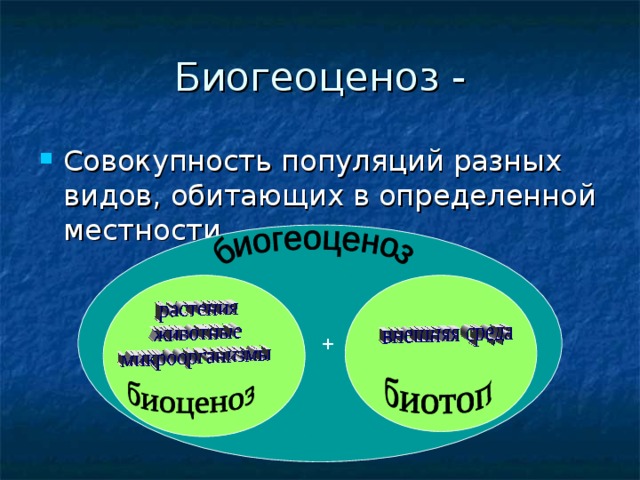 Средой называется совокупность. Биогеоценоз это совокупность популяций разных видов. Совокупность популяций различных видов. Биосфера совокупность биогеоценозов. Биогеоценоз это совокупность взаимосвязанных.