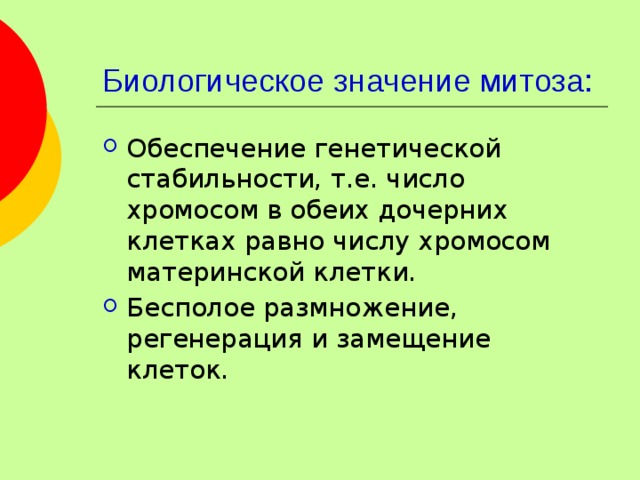 Биологическое значение митоза: Обеспечение генетической стабильности, т.е. число хромосом в обеих дочерних клетках равно числу хромосом материнской клетки. Бесполое размножение, регенерация и замещение клеток. 
