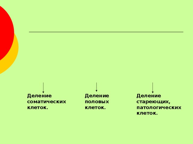Деление Деление Деление соматических половых стареющих, клеток. клеток. патологических клеток. 