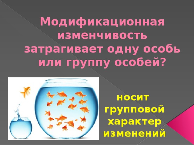 Модификационная изменчивость затрагивает одну особь или группу особей?  носит групповой характер изменений 