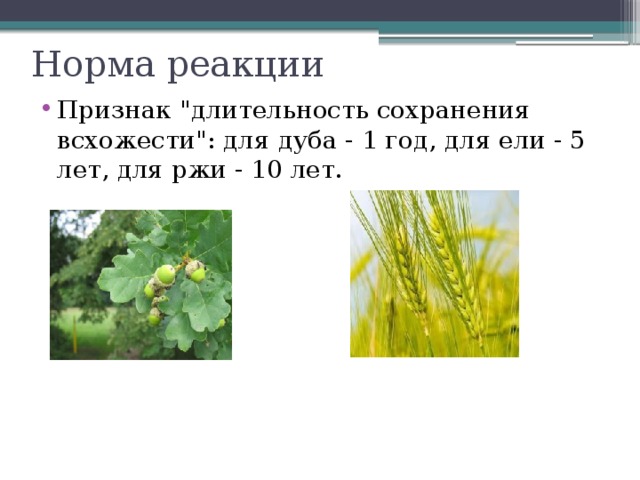 Норма реакции Признак 