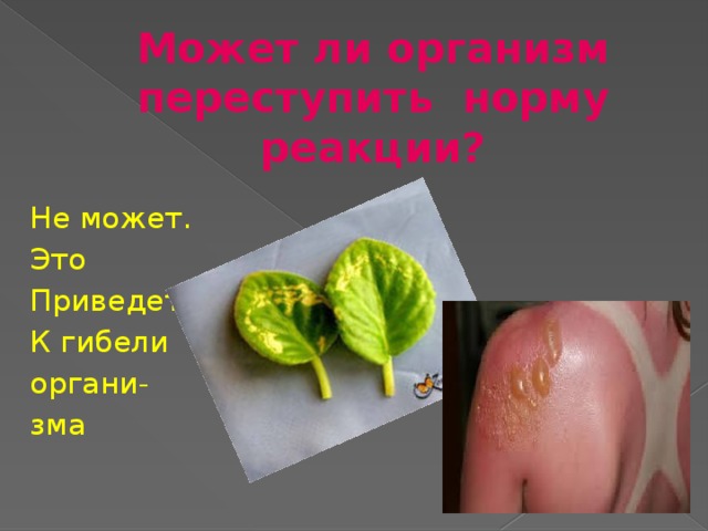 Может ли организм переступить норму реакции? Не может. Это Приведет К гибели органи- зма 