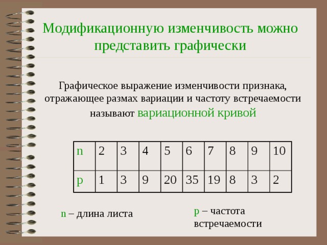 Модификационную изменчивость можно представить графически Графическое выражение изменчивости признака, отражающее размах вариации и частоту встречаемости называют вариационной кривой n p 2 3 1 4 3 9 5 20 6 7 35 8 19 9 8 3 10 2 р – частота встречаемости n – длина листа 