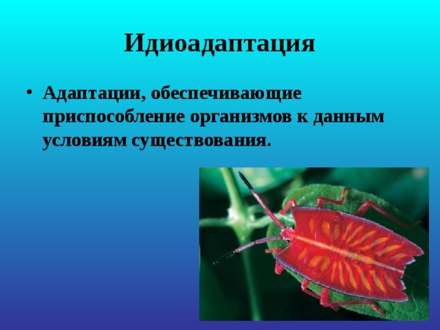 Идиоадаптация Адаптации, обеспечивающие приспособление организмов к данным условиям существования. 