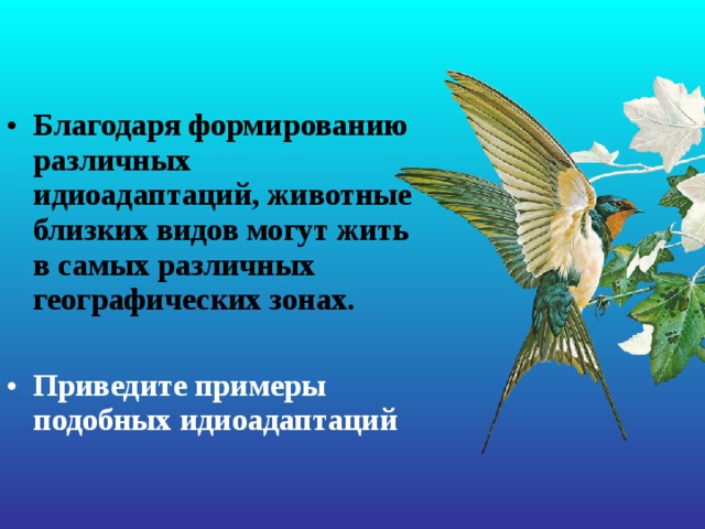 Благодаря формированию различных идиоадаптаций, животные близких видов могут жить в самых различных географических зонах.  Приведите примеры подобных идиоадаптаций 