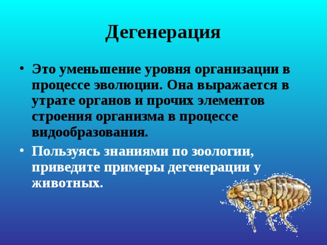 Дегенерация Это уменьшение уровня организации в процессе эволюции. Она выражается в утрате органов и прочих элементов строения организма в процессе видообразования.  Пользуясь знаниями по зоологии, приведите примеры дегенерации у животных. 