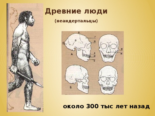 Древние люди  (неандертальцы)  около 300 тыс лет назад 