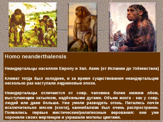 Общественный образ жизни предков человека способствовал. Стадии антропогенеза неандерталец. Этапы антропогенеза неандертальца. Характеристика образа жизни неандертальцев. Неандертальцы факторы антропогенеза.