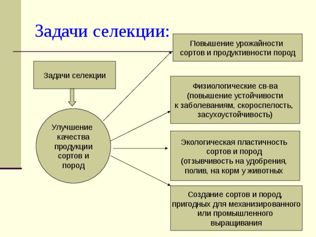 Значение селекции