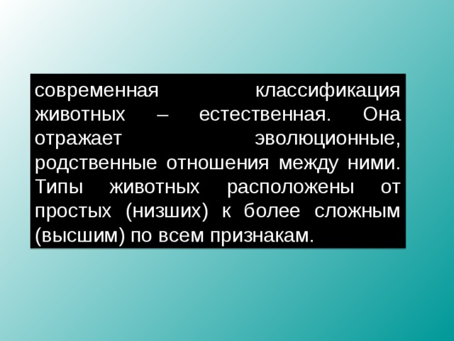 План рассказа о родственных связях между животными