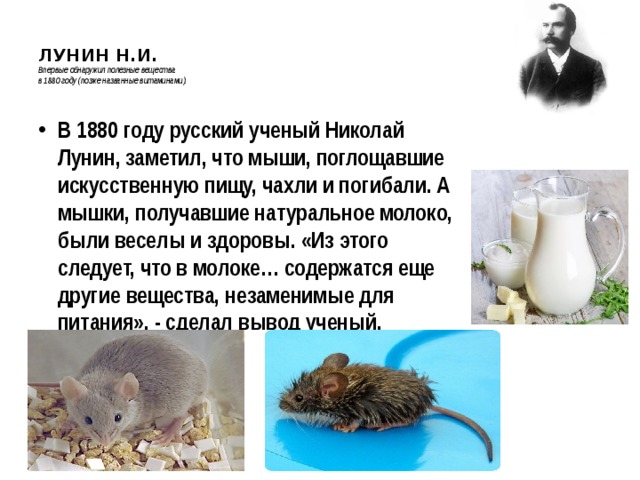  ЛУНИН Н.И.  Впервые обнаружил полезные вещества  в 1880 году (позже названные витаминами).   В 1880 году русский ученый Николай Лунин, заметил, что мыши, поглощавшие искусственную пищу, чахли и погибали. А мышки, получавшие натуральное молоко, были веселы и здоровы. «Из этого следует, что в молоке… содержатся еще другие вещества, незаменимые для питания», - сделал вывод ученый. 