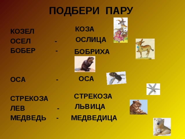 ПОДБЕРИ ПАРУ   КОЗЕЛ ОСЕЛ - БОБЕР -   ОСА -  СТРЕКОЗА ЛЕВ - МЕДВЕДЬ - КОЗА ОСЛИЦА БОБРИХА ОСА СТРЕКОЗА ЛЬВИЦА МЕДВЕДИЦА 