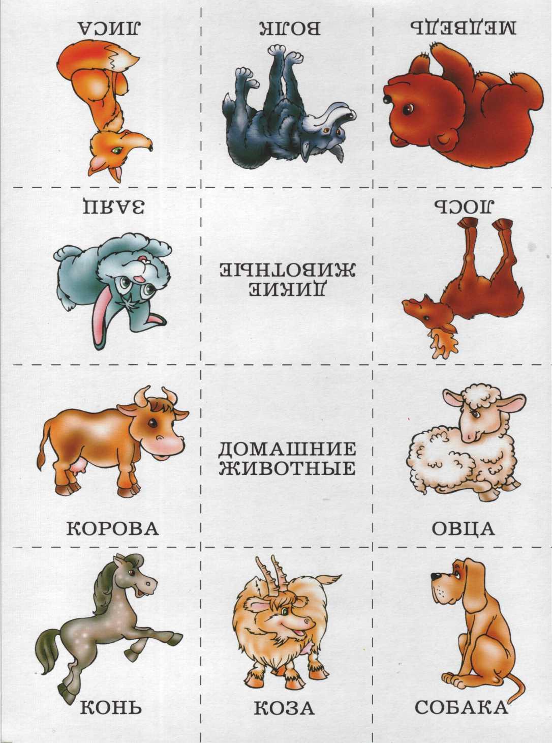 Карточки с животными и предметами