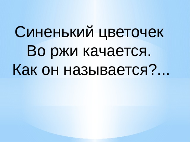 Синенький цветочек Во ржи качается. Как он называется?... 