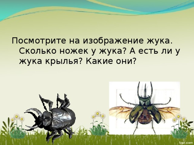 Эх молодежь жук картинка