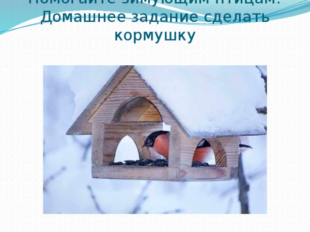 Поможем зимующим птицам картинки