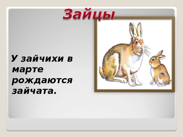 Звуковая схема зайчиха
