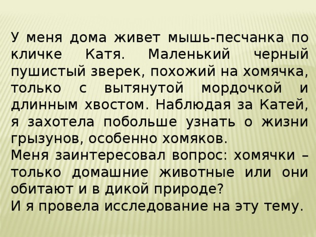 У меня дома живет мышь-песчанка по кличке Катя. Маленький черный пушистый зверек, похожий на хомячка, только с вытянутой мордочкой и длинным хвостом. Наблюдая за Катей, я захотела побольше узнать о жизни грызунов, особенно хомяков. Меня заинтересовал вопрос: хомячки – только домашние животные или они обитают и в дикой природе? И я провела исследование на эту тему. 