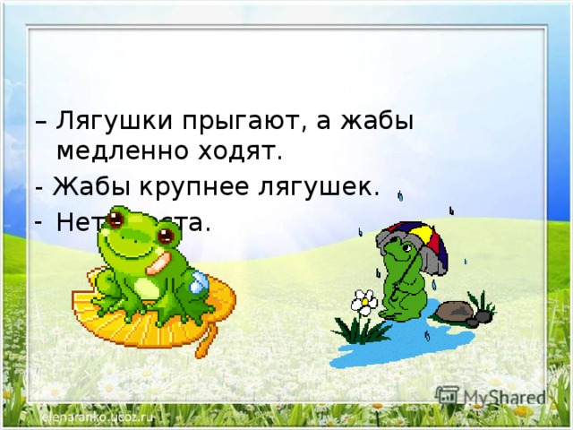 День прыгающей лягушки 13 мая картинки