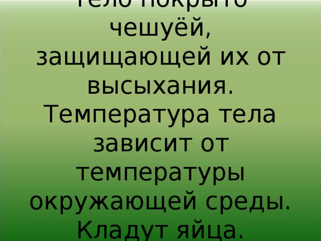 Пресмыкающиеся .  Тело покрыто чешуёй, защищающей их от высыхания. Температура тела зависит от температуры окружающей среды. Кладут яйца. Хищники. 