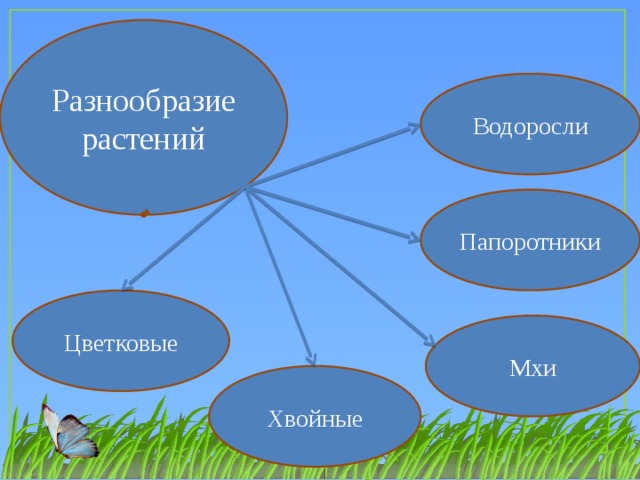 Технологическая карта урока окружающего мира "Разнообразие растений на Земле"