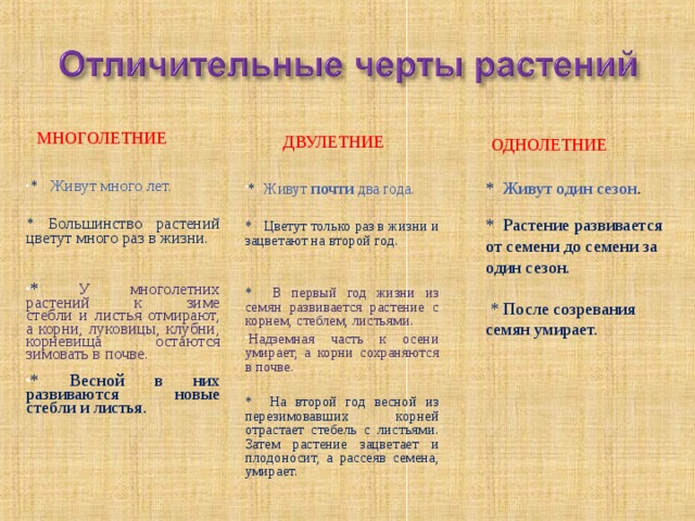Приведите примеры однолетних двулетних и многолетних растений
