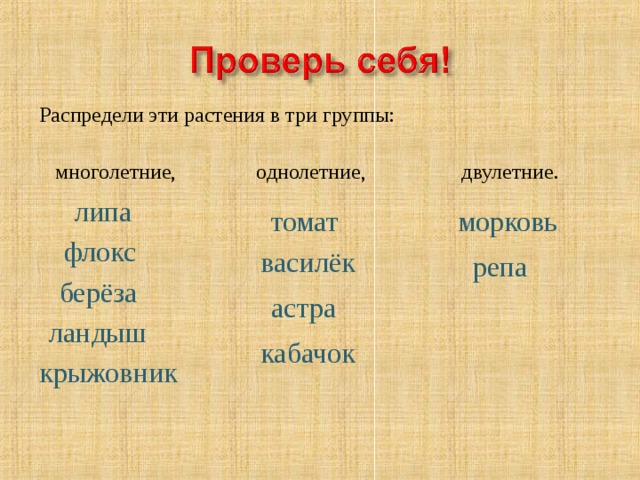 Однолетние двулетние и многолетние растения примеры