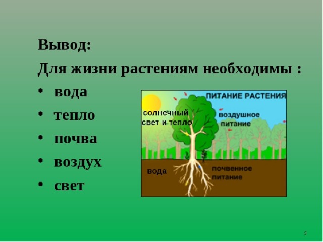 Технологическая карта урока по окружающему миру 1 класс как живут растения