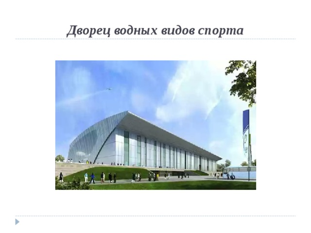 Чертежи дворец водных видов спорта