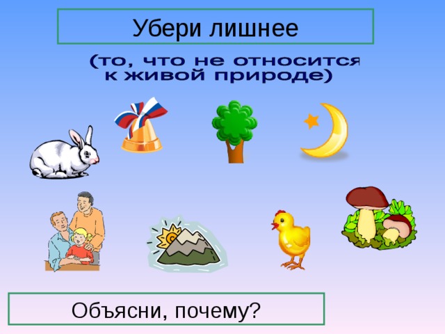 Окружающий мир итоговый урок 2 класс презентация