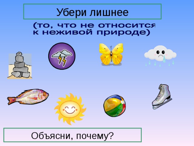 Окружающий мир итоговый урок 2 класс презентация