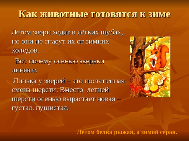 Бианки Как Животные Готовятся К Зиме