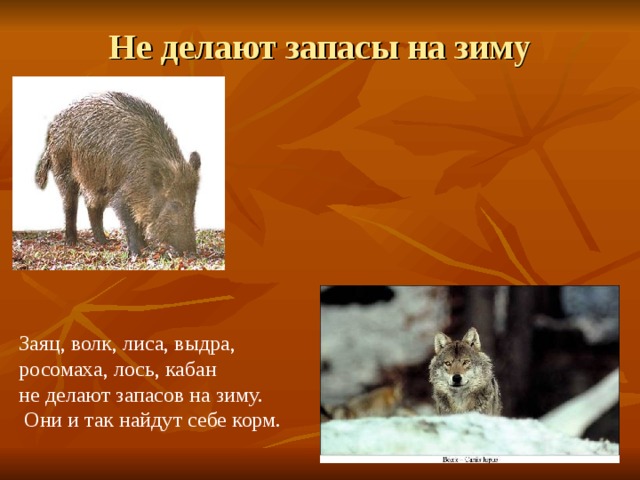 Как животные к холодам готовятся план