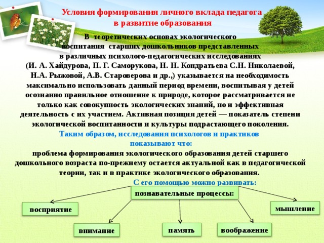 Роль экологического образования