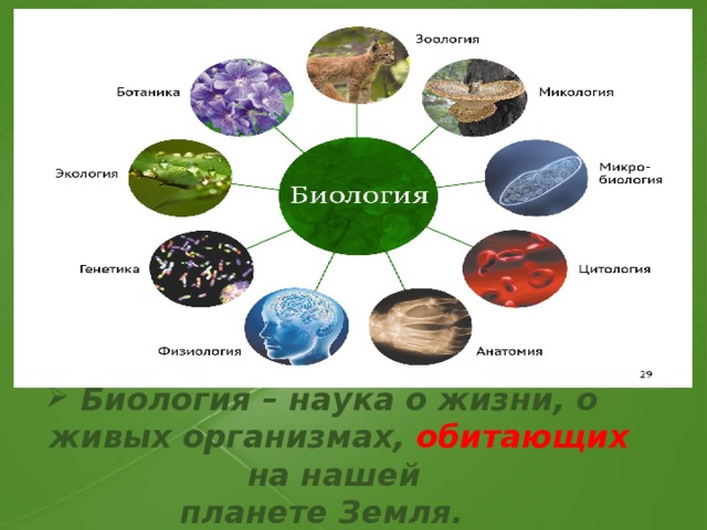 Биология – наука о жизни, о живых организмах, обитающих на нашей планете Земля. 