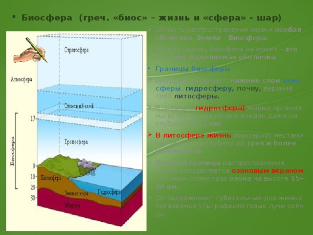 Таблица оболочки биосферы. Биосфера это область распространения жизни на земле. Область границы распространения жизни на земле. Границы биосферы. Нарисуйте схему границы биосферы.
