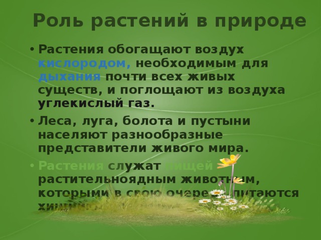 Роль растений в природе Растения обогащают воздух кислородом, необходимым для дыхания почти всех живых существ, и поглощают из воздуха углекислый газ. Леса, луга, болота и пустыни населяют разнообразные представители живого мира. Растения сл ужат пищей растительноядным животным, которыми в свою очередь питаются хищники. (цепи питания) 