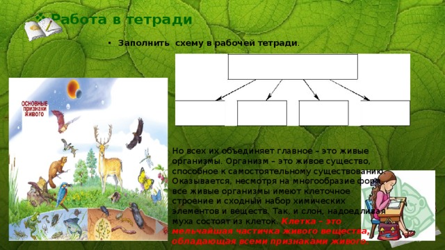 Работа в тетради Заполнить схему в рабочей тетради . Но всех их объединяет главное – это живые организмы. Организм – это живое существо, способное к самостоятельному существованию. Оказывается, несмотря на многообразие форм, все живые организмы имеют клеточное строение и сходный набор химических элементов и веществ. Так, и слон, надоедливая муха состоят из клеток. Клетка – это мельчайшая частичка живого вещества, обладающая всеми признаками живого. 