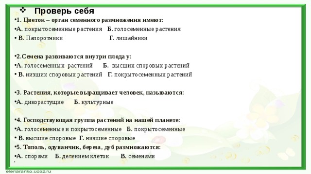 Проверь себя 1. Цветок – орган семенного размножения имеют: А. покрытосеменные растения Б. голосеменные растения  В. Папоротники Г. лишайники  2.Семена развиваются внутри плода у: А. голосеменных  растений Б.  высших споровых растений  В. низших споровых растений Г. покрытосеменных растений 3. Растения, которые выращивает человек, называются: А. дикорастущие Б. культурные   4. Господствующая группа растений на нашей планете: А. голосеменные и покрытосеменные Б. покрытосеменные  В. высшие споровые Г. низшие споровые  5. Тополь, одуванчик, береза, дуб размножаются: А. спорами Б. делением клеток В. семенами   