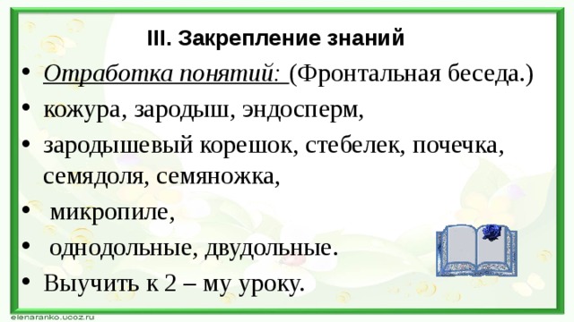 III. Закрепление знаний Отработка понятий: (Фронтальная беседа.) кожура, зародыш, эндосперм, зародышевый корешок, стебелек, почечка, семядоля, семяножка,  микропиле,  однодольные, двудольные. Выучить к 2 – му уроку. 